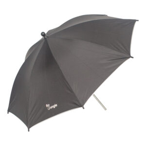 B300700 black DB 5421