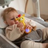 Light Music Rattle 1