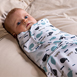 Wrap blankets