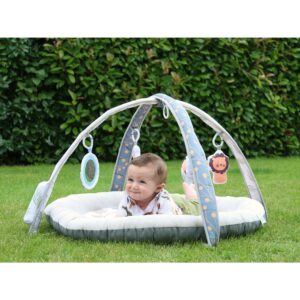 B940000 Savannah Musical & Light Play Gym_07