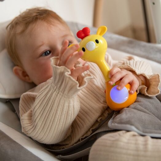 B925700 Light Music Rattle Giraf03 edited