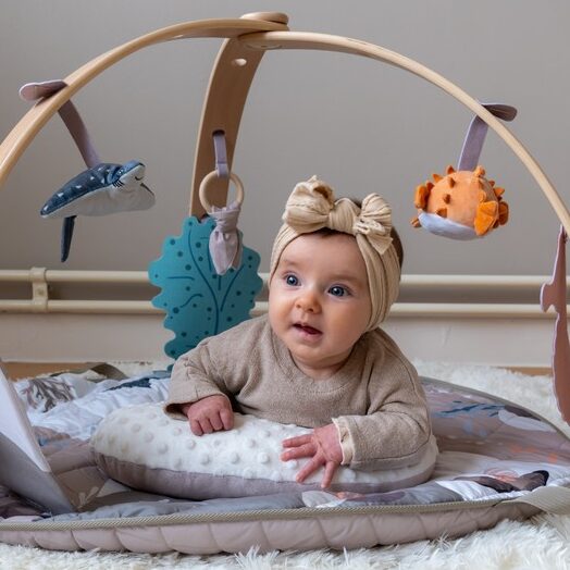 B94200 Ocean Bliss Wooden Play Gym 05 edited
